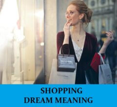 Dream About Shopping