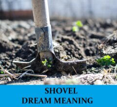 Dream About Shovels