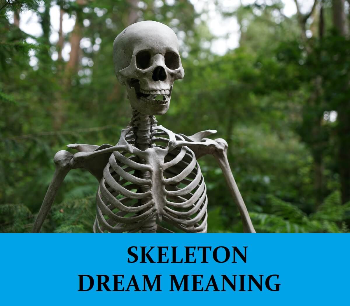 Dream About Skeletons