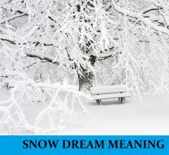Dream About Snow Meanings