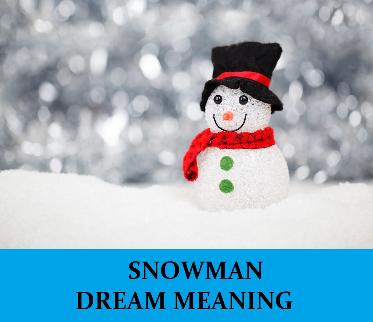 Dream About Snowman