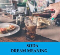 Dream About Sodas