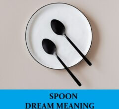 Dream About Spoons