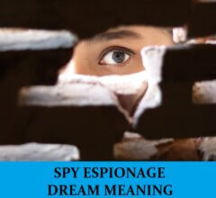 Dream About Spies and Espionages