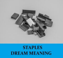 Dream About Stapler Staples