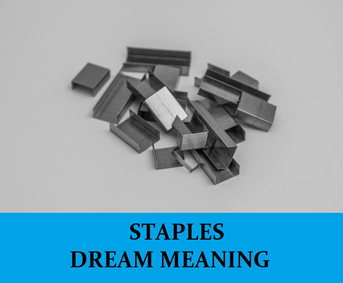 Dream About Stapler Staples