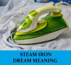 Dream About Steam Irons