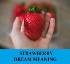 Dream About Strawberries