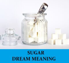 Dream About Sugars