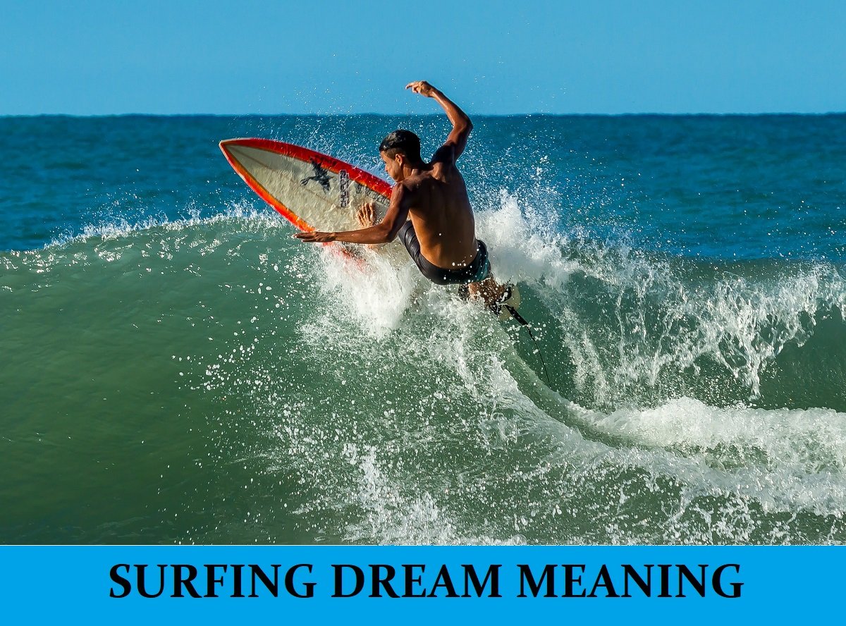 Surfer meaning