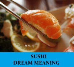 Dream About Sushi