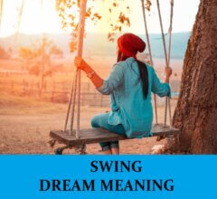 Dream About Swings
