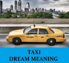 Dream About Taxis