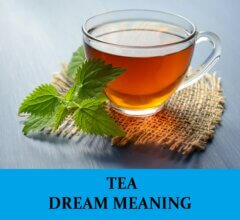 Dream About Teas