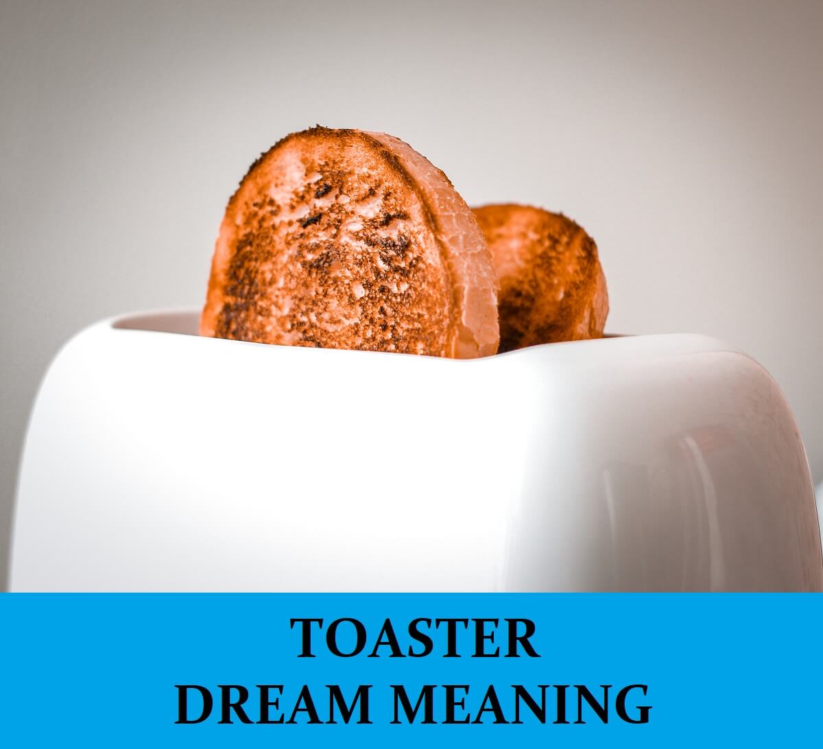 Dream About Toasters
