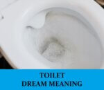 Dream About Toilets