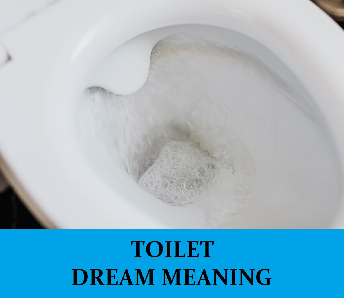  drøm om Toiletter 