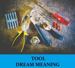 Dream About Tools