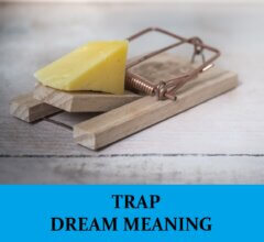 Dream About Traps