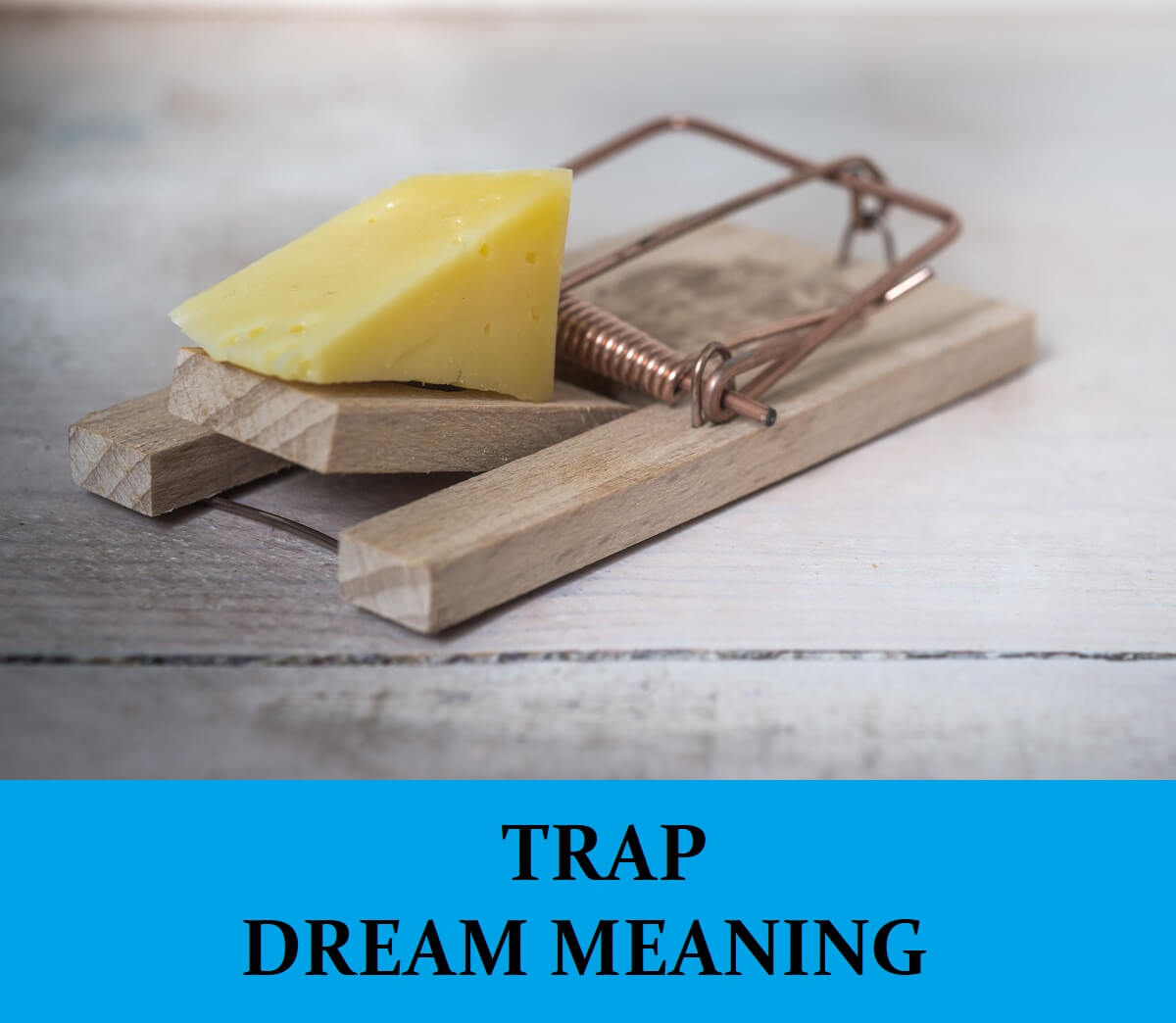 Dream About Traps