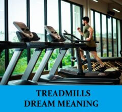 Dream About Treadmills Ellipticals