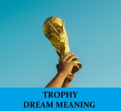 Dream About Trophies
