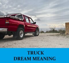 Dream About Trucks