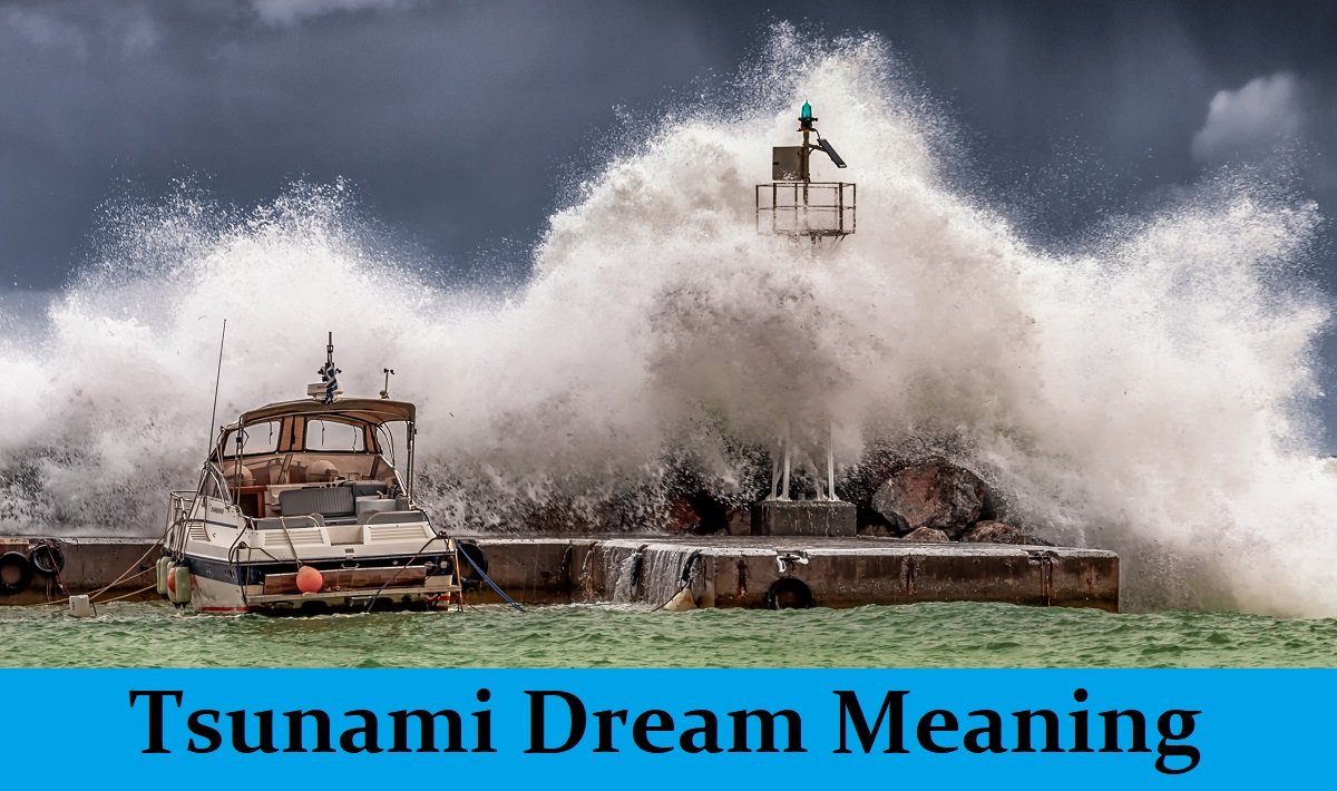 Tsunami Dream Meaning Top 8 Dreams About Tidal Wave Dream Meaning Net