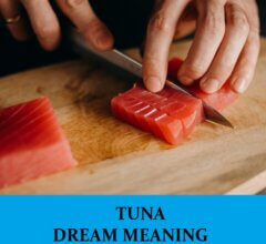 Dream About Tuna
