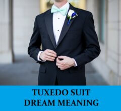 Dream About Tuxedo Suit