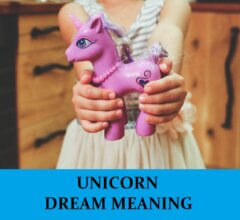 Dream About Unicorns