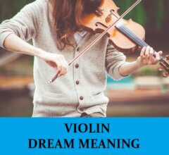 Dream About Violins