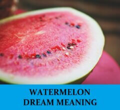 Dream About Watermelons