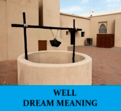 Dream About Wells