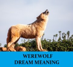 Dream About Werewolves