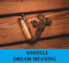 Dream About Whistles