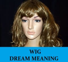 Dream About Wigs