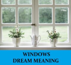 Dream About Windows