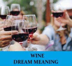 Dream About Wines