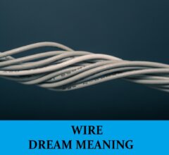 Dream About Wires Cables