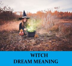 Dream About Witches
