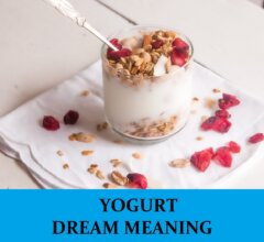 Dream About Yogurts